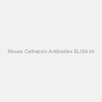 Mouse Cathepsin Antibodies ELISA kit
